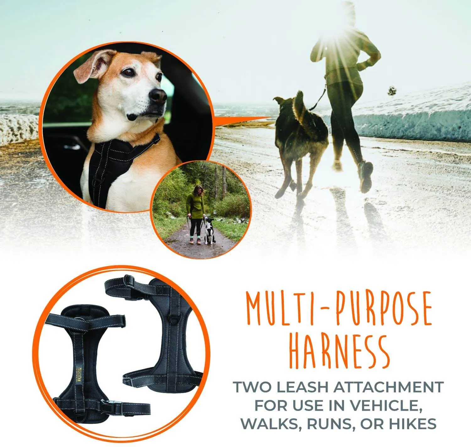 Adjustable Safety Harness for Dogs of All Sizes