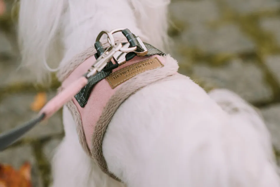 Bowl and Bone Yeti Rose Dog Harness