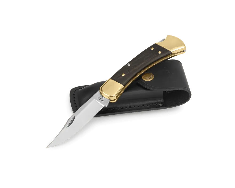 Buck 110 Folding Hunter Knife