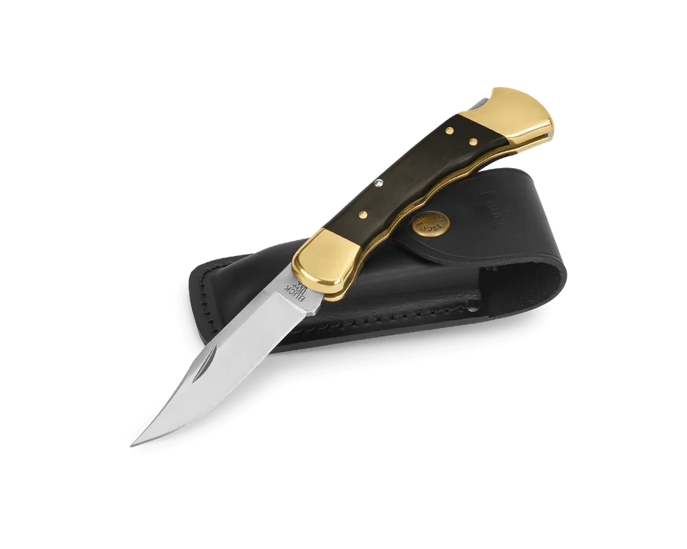 Buck 110 Folding Hunter Knife