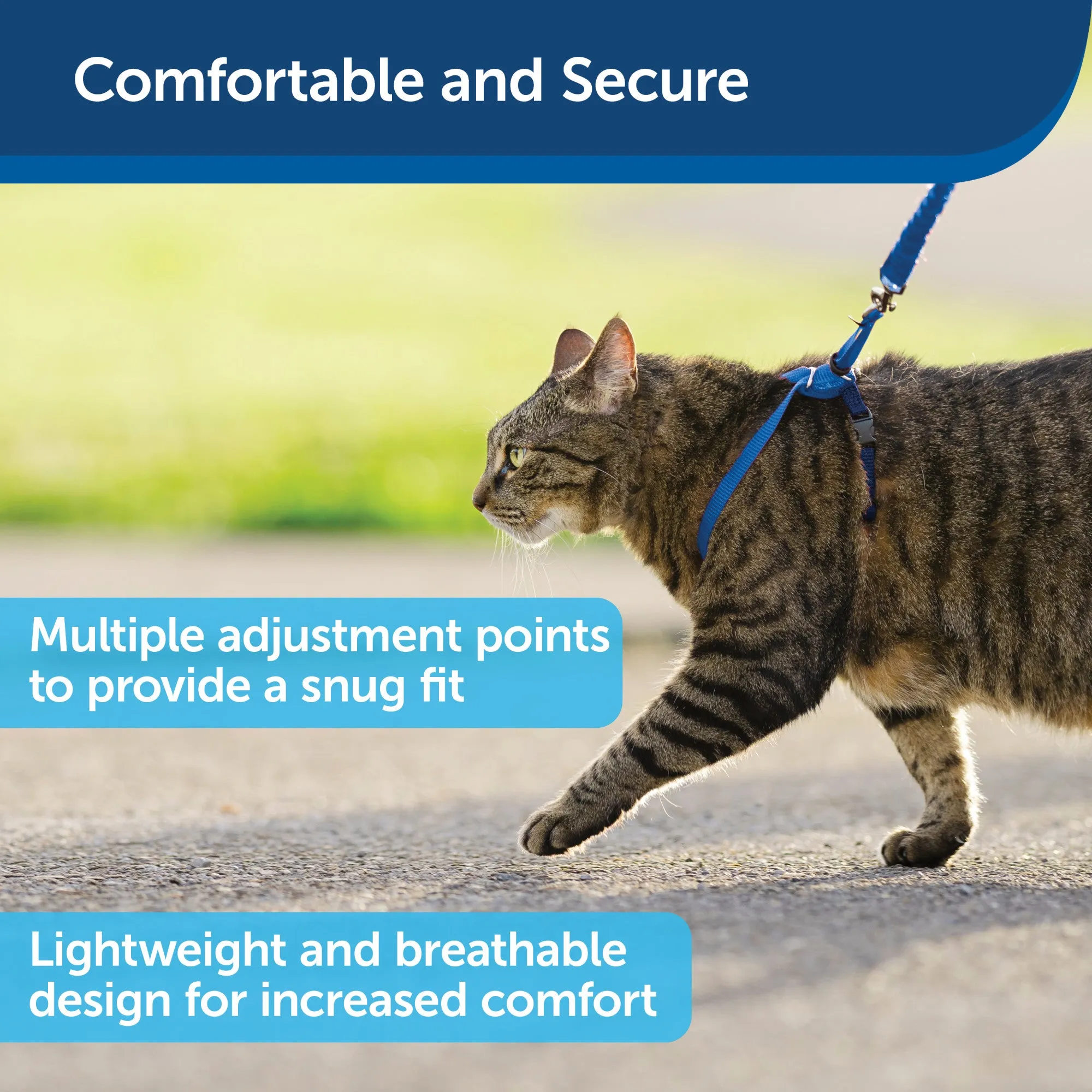 PetSafe Come with Me Kitty Harness and Bungee Leash – Adjustable, Lightweight Harness for Cats, Royal Blue