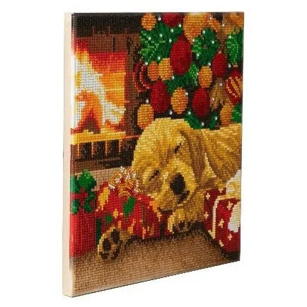 "Sleeping Labrador Pup" Crystal Art Canvas 30x30cm